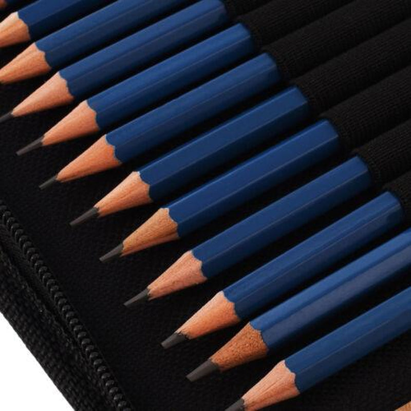 51Pcs Professional Drawing Artist Kit Set Pencils and Sketch Charcoal Art & Bag