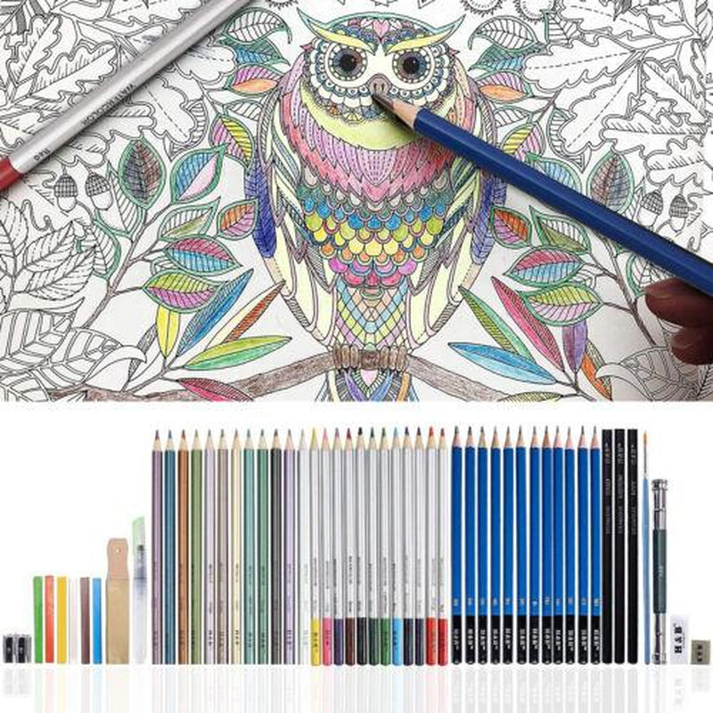 51Pcs Professional Drawing Artist Kit Set Pencils and Sketch Charcoal Art & Bag